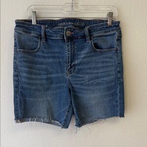 American Eagle Outfitters Classic Blue Denim Shorts